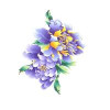 Laikinos tatuiruotės