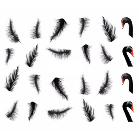 Lipdukai nagams Juodoji Gulbė 1553; vandeniniai Lipdukai nagams Juodoji Gulbė 1553; vandeniniai