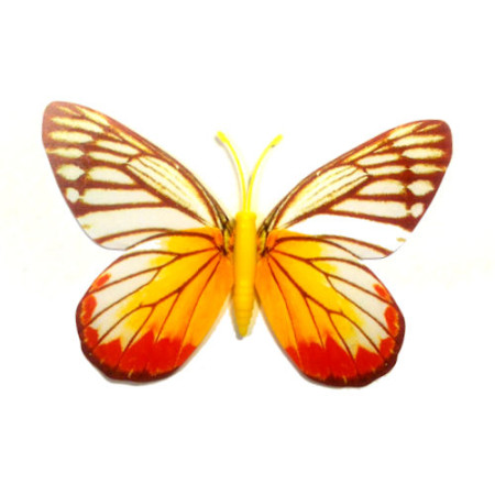 Drugelis šviečiantis tamsoje N559; 8x9cm