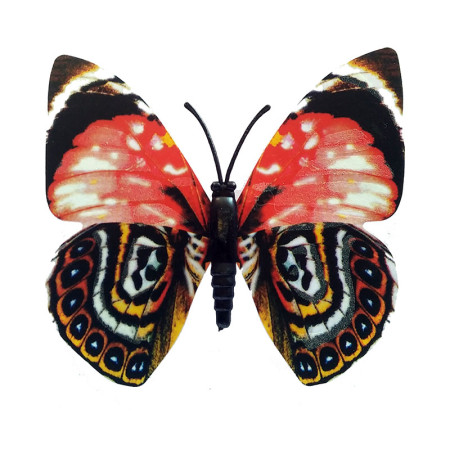 Drugelis šviečiantis tamsoje N233; 8x9cm