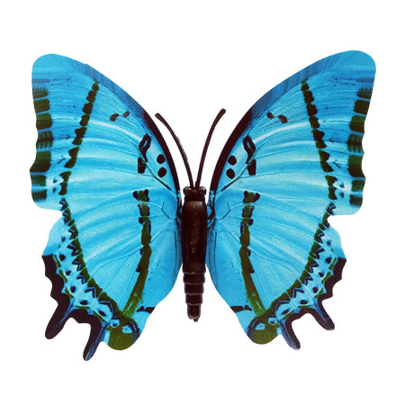 Drugelis šviečiantis tamsoje N258; 9x8cm