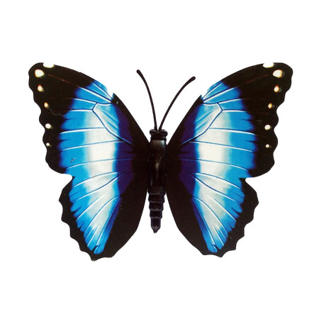 Drugelis šviečiantis tamsoje N260; 8x7cm