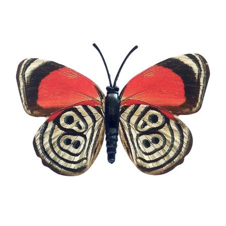 Drugelis šviečiantis tamsoje N555; 8x6cm Drugelis šviečiantis tamsoje N555; 8x6cm