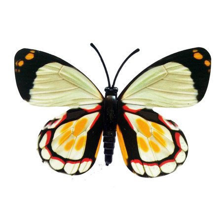Drugelis šviečiantis tamsoje N202; 8x6cm Drugelis šviečiantis tamsoje N202; 8x6cm