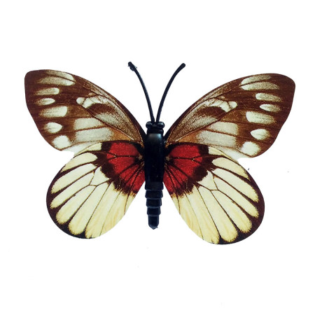 Drugelis šviečiantis tamsoje N568; 8x6cm Drugelis šviečiantis tamsoje N568; 8x6cm