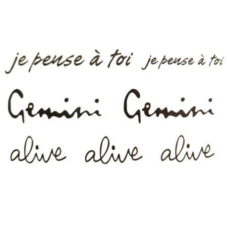 Laikina tatuiruotė Gemini 81037; 10x6cm