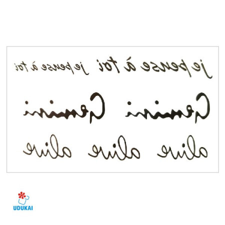 Laikina tatuiruotė Gemini 81037; 10x6cm