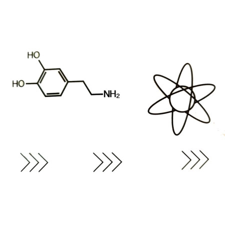 Laikina tatuiruotė Mokslai 81042; 10x6cm