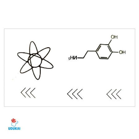 Laikina tatuiruotė Mokslai 81042; 10x6cm