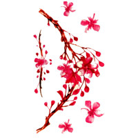 Laikina tatuiruotė Sakura NN010; 10x6cm