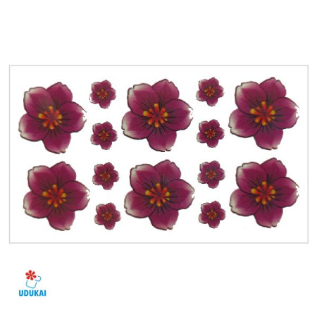 Laikina tatuiruotė Gėlės NN036; 10x6cm