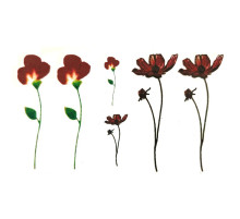 Laikina tatuiruotė Augalai NN038; 10x6cm