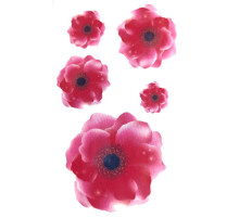 Laikina tatuiruotė Augalai NN041; 10x6cm