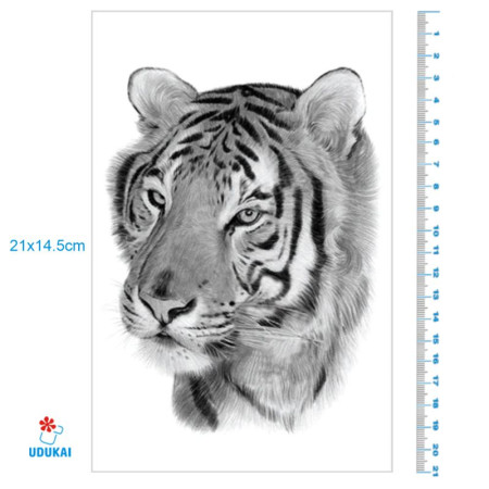 Laikina tatuiruotė Tigras 081; 21x14cm Laikina tatuiruotė Tigras 081; 21x14cm