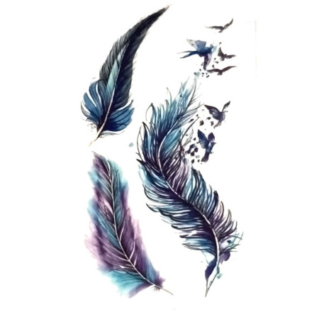 Laikina tatuiruotė Plunksnos 006; 10x6cm Laikina tatuiruotė Plunksnos 006; 10x6cm