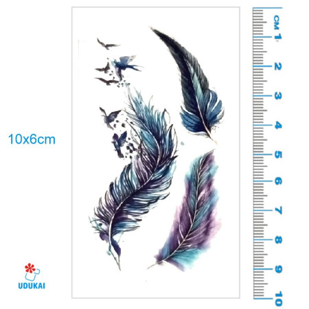 Laikina tatuiruotė Plunksnos 006; 10x6cm Laikina tatuiruotė Plunksnos 006; 10x6cm