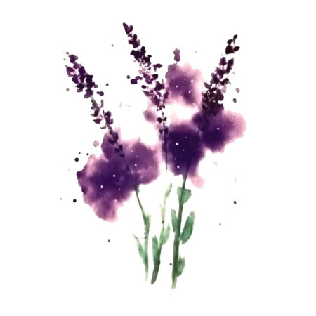 Laikina tatuiruotė Bijūnai 009; 10x6cm