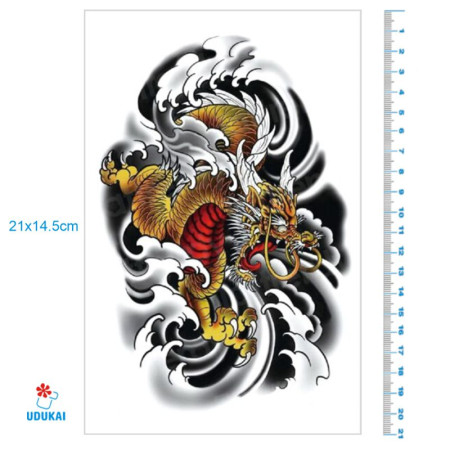 Laikina tatuiruotė Drakonas 620; 21x14cm