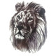Laikina tatuiruotė Liūtas 8357; 19x12cm