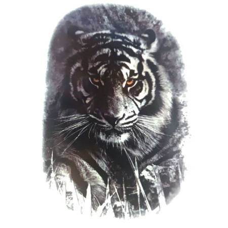 Laikina tatuiruotė Tigras 8404; 19x12cm Laikina tatuiruotė Tigras 8404; 19x12cm