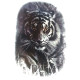 Laikina tatuiruotė Tigras 8404; 19x12cm