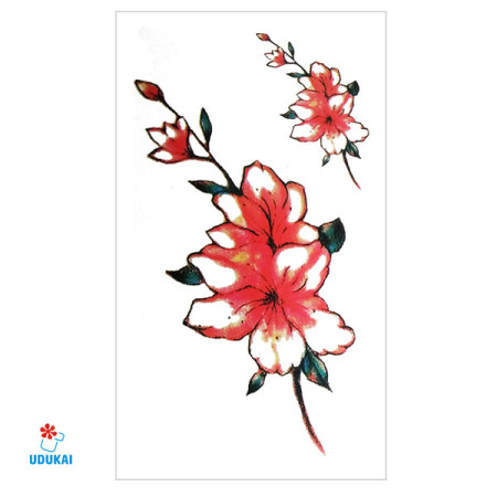 Laikina tatuiruotė Gėlės B16; 10x6cm Laikina tatuiruotė Gėlės B16; 10x6cm