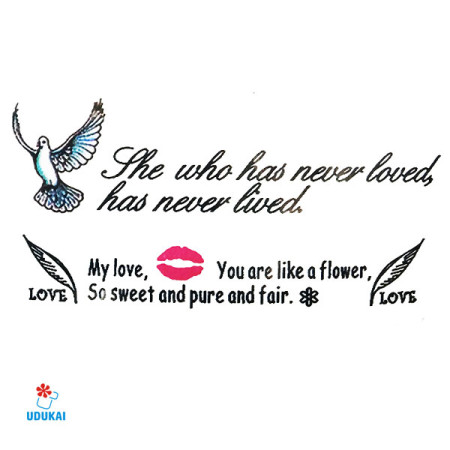 Laikina tatuiruotė Mix G21; 10x6cm