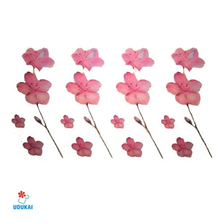 Laikina tatuiruotė Gėlės A028; 10x6cm