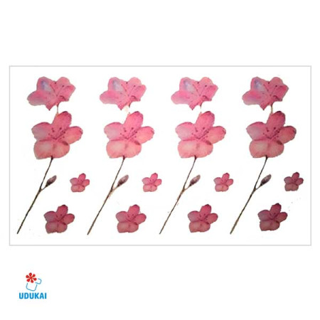 Laikina tatuiruotė Gėlės A028; 10x6cm