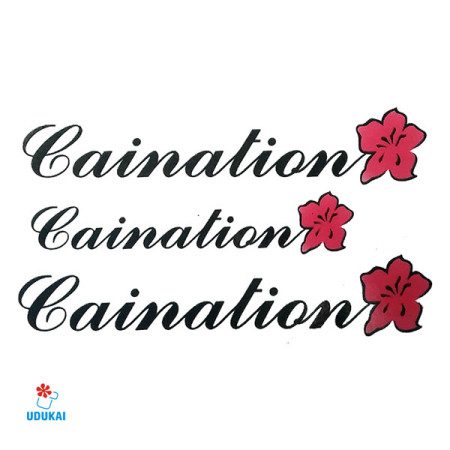 Laikina tatuiruotė Gaination W016; 10x6cm