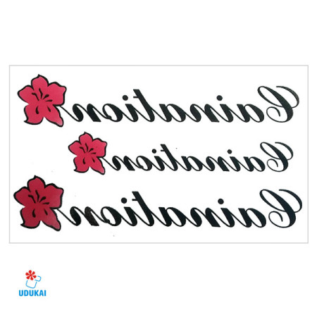 Laikina tatuiruotė Gaination W016; 10x6cm