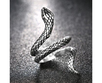 Žiedas Gyvatė sidabro spalvos; universalaus dydžio